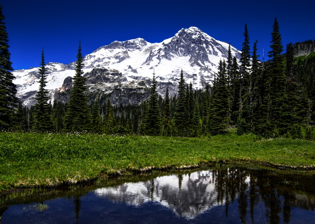 This image has an empty alt attribute; its file name is d50_3180-edit-edit-1.jpg