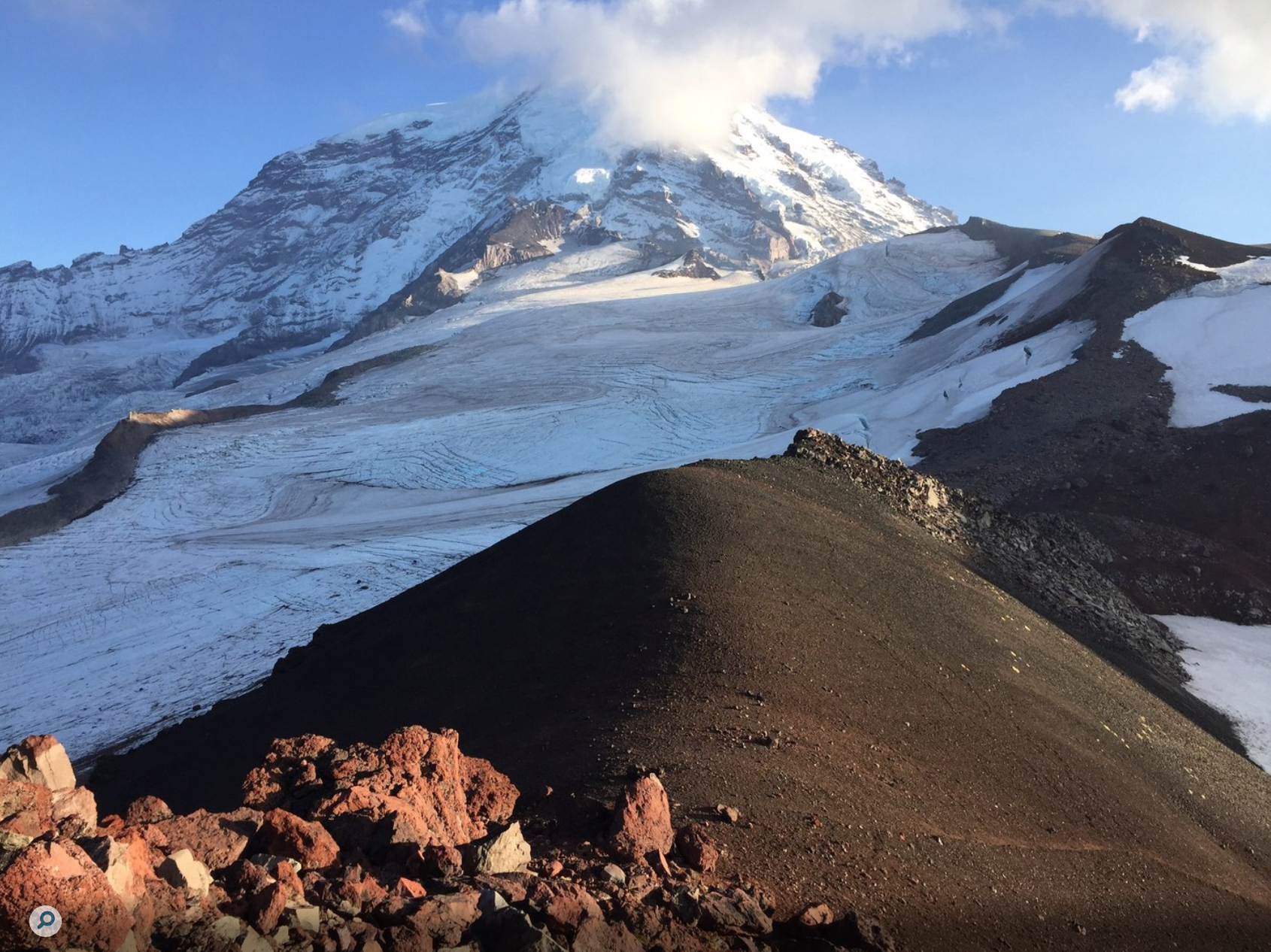 screen-shot-2020-01-29-at-5.15.15-am-1