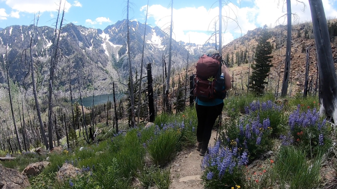 Screen Shot 2020-06-29 at 7.27.45 AM