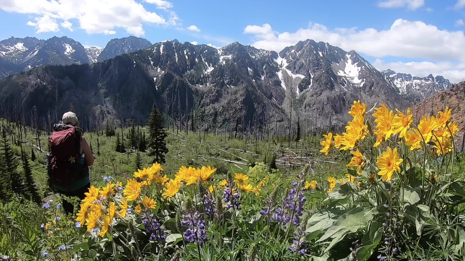 Screen Shot 2020-06-29 at 6.57.27 AM