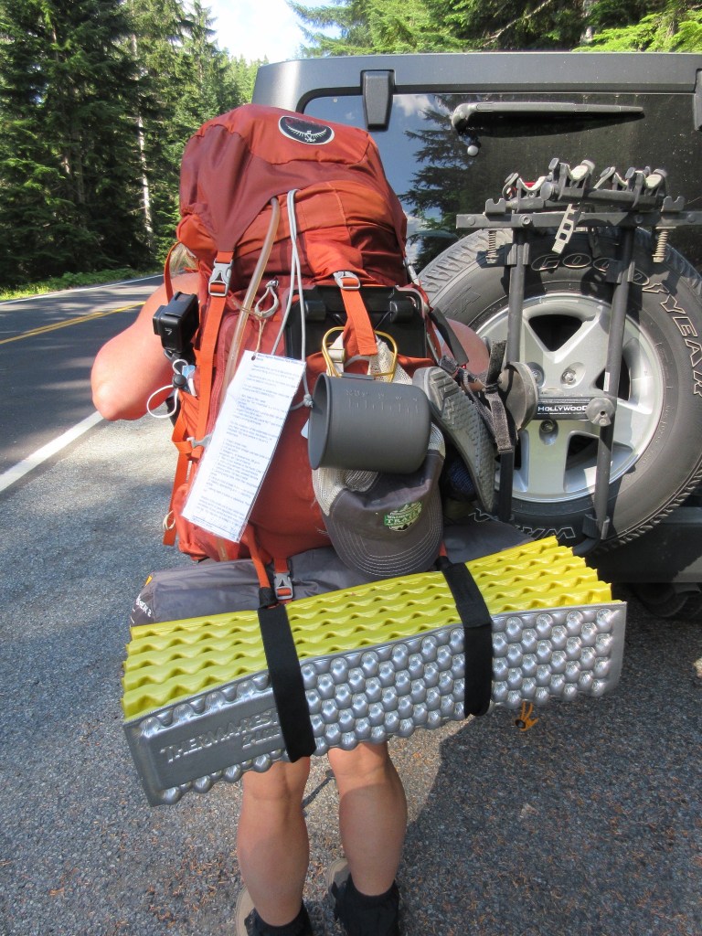 This image has an empty alt attribute; its file name is Backpack-768x1024.jpg