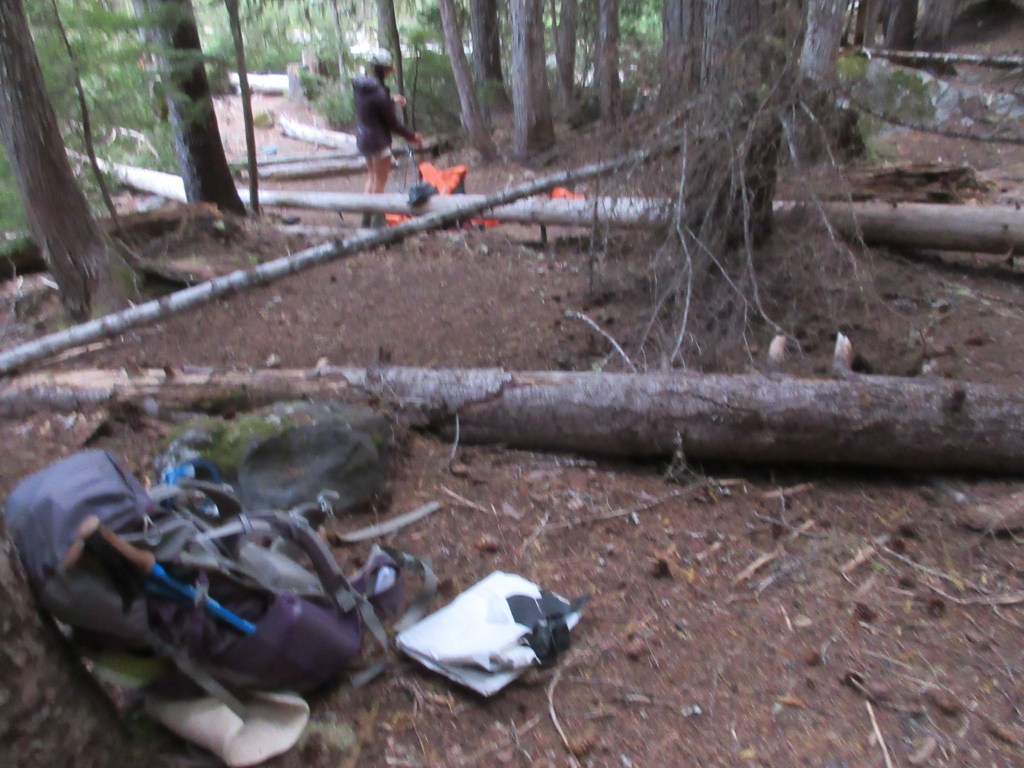 This image has an empty alt attribute; its file name is group-site-1.jpg