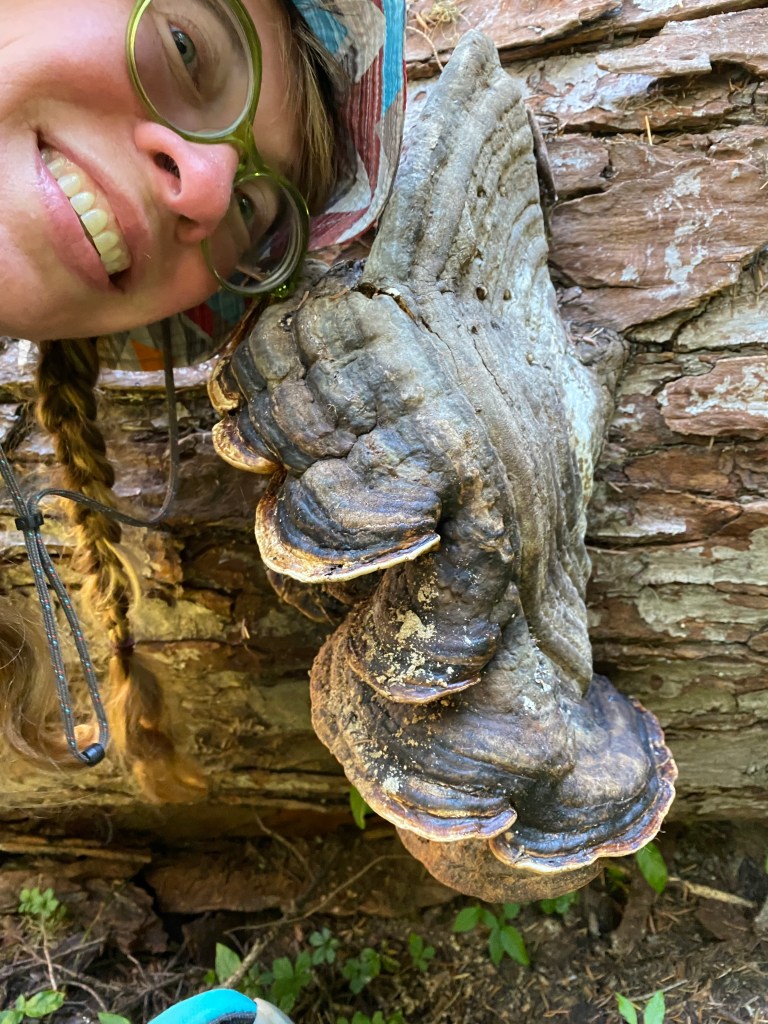 This image has an empty alt attribute; its file name is img_8521.jpg