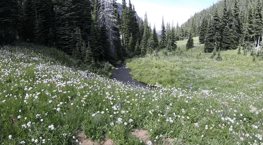 This image has an empty alt attribute; its file name is screen-shot-2020-12-22-at-5.49.59-pm.png