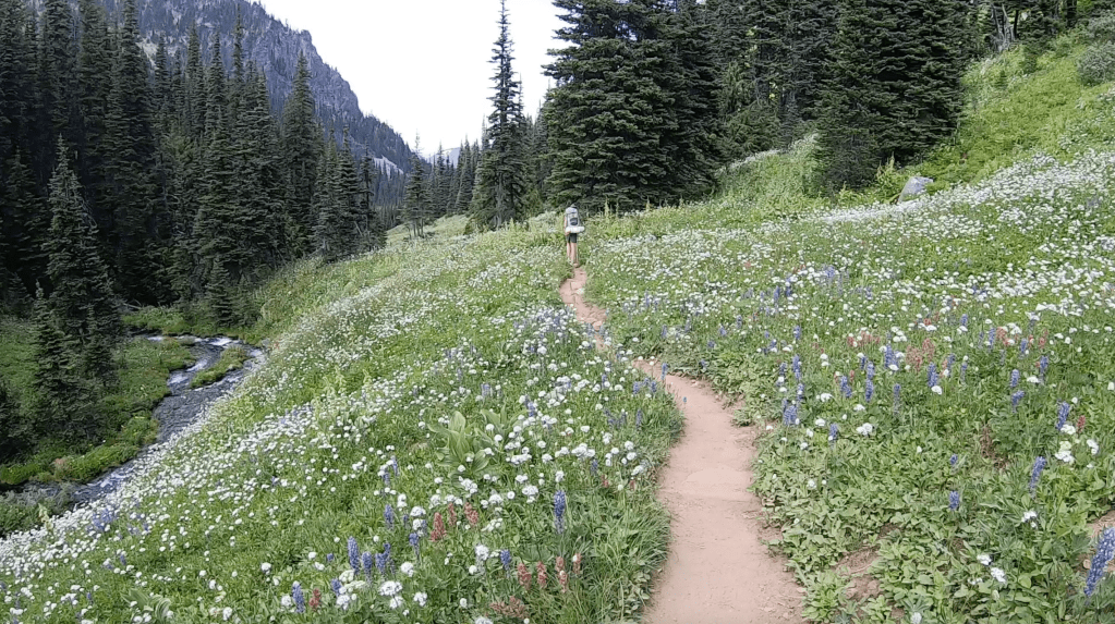 This image has an empty alt attribute; its file name is screen-shot-2020-12-22-at-5.52.13-pm.png