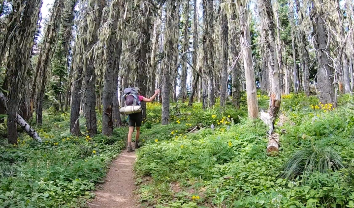 Far Into The Northern Loop&nbsp;Trail
