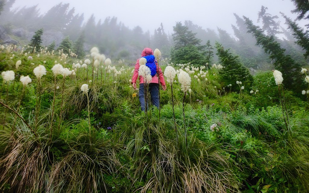 This image has an empty alt attribute; its file name is gopr0159-edit-2.jpg